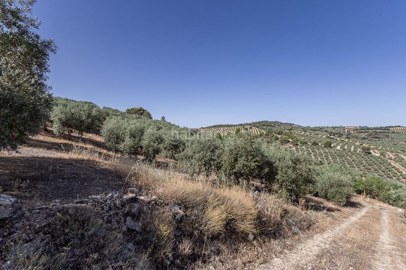 Foto 5b28dbb3-d926-43d7-ab0e-ebba515c9370. Finca rústica a Montefrío