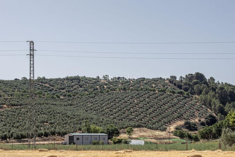 Foto aaad61a3-9dd6-41a0-8fbd-5b9e0efec817. Finca rústica a Montefrío