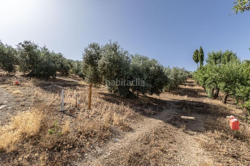 Foto b83d6555-ea8b-412e-a182-596ba58e6089. Finca rústica a Montefrío
