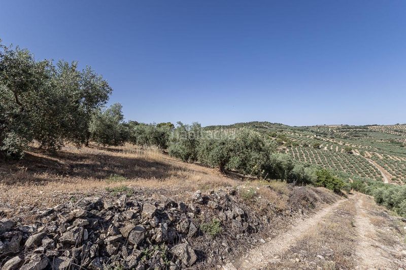 Foto fb4c9523-0750-4d04-b8cf-f6e4a2846859. Finca rústica a Montefrío