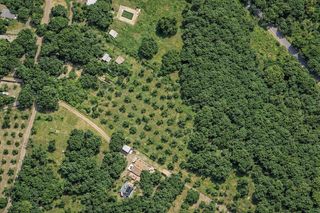 Masía  17 alcaparrosa  #149. En venta maravillosa finca rustica de olivos