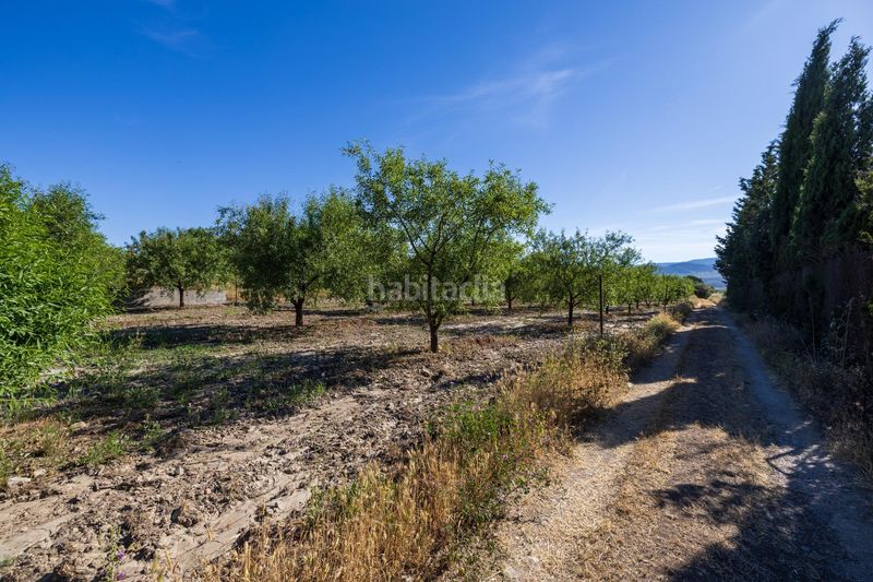 Foto bf0e8be5-45ed-4916-a201-2da8674225ff. Finca rústica a Dúrcal