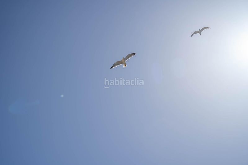 Foto bb861de0-bfd2-4e48-960f-8962bcdd232c. Apartament amb piscina a Punta La Mona Almuñécar