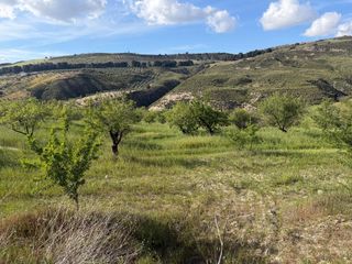 Fondo rustico in Lugar poligono 7 parcela 55. Arenas del rey. finca de almendros de secano de 3 hectáreas.