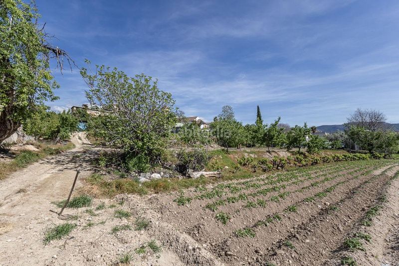 Foto 9f01d854-2962-4b93-aa57-d6eab9bb30ff. Casa amb aparcament a Gójar
