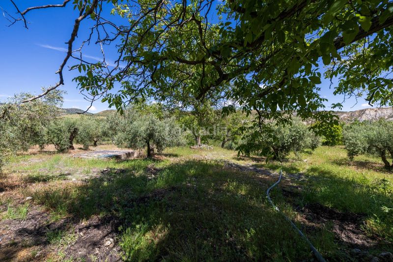 Foto 8bcbae08-4b54-45d3-9806-27dd72adbe0b. Chalet villa única. antiguo molino. en Peza (La)
