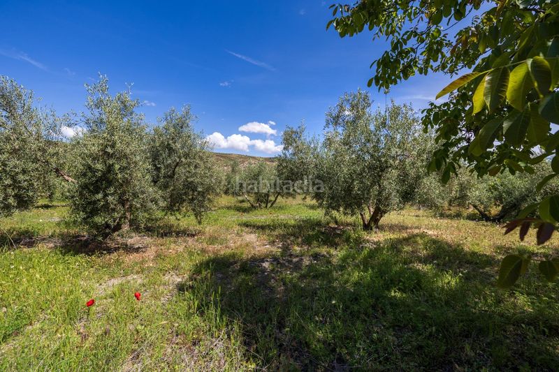 Foto e46baf69-f354-4437-b88b-22f5eb266571. Chalet villa única. antiguo molino. en Peza (La)