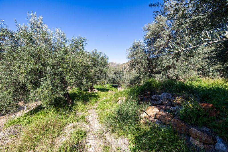 Foto a4a0e115-efa4-4023-bd8a-715debd1ceb8. Finca rústica a Lanjarón