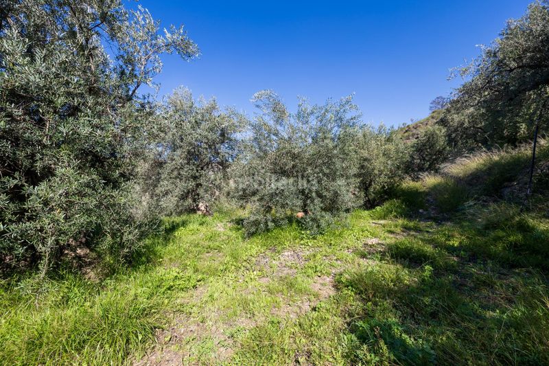 Foto ada8b0b2-a4bb-4236-8ebe-8482105552a7. Finca rústica a Lanjarón