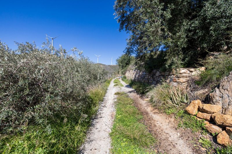 Foto b85ec1bc-b200-4296-9fa6-be44ce663996. Finca rústica a Lanjarón