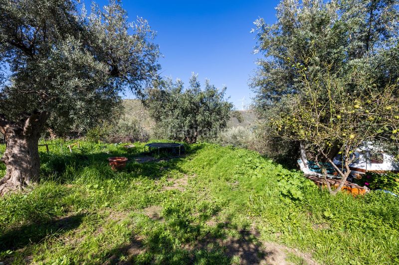 Foto d3ea4933-2ad1-4d5e-83be-db57767363e9. Finca rústica a Lanjarón
