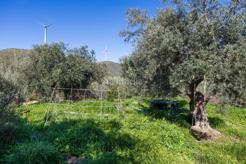 Foto f6792bd6-8566-435b-b225-93d429df2371. Finca rústica a Lanjarón