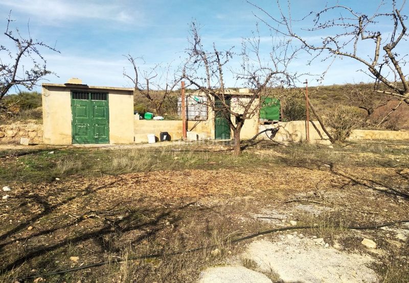 Foto 3251d431-94d4-42da-a1a5-5520527a3306. Finca rústica a Padul