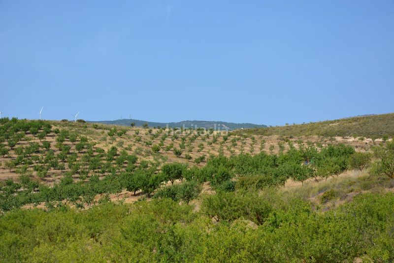 Foto 4bdd1cea-36ef-4f88-9785-bbcdfa23fc55. Finca rústica a Padul