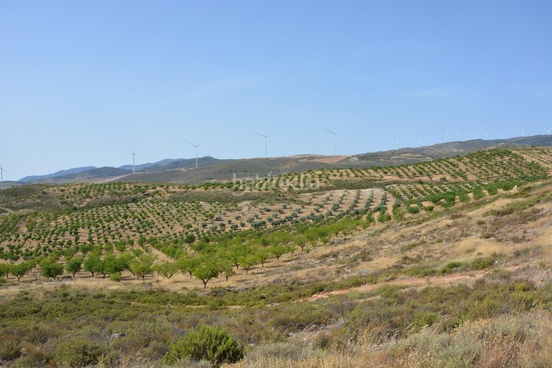 Foto 6f7c5658-cbe4-4b7d-846b-e4e22600e513. Finca rústica a Padul