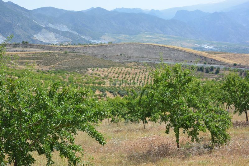 Foto cf9738f9-6d3b-4153-a5f8-ef54279217f3. Finca rústica a Padul