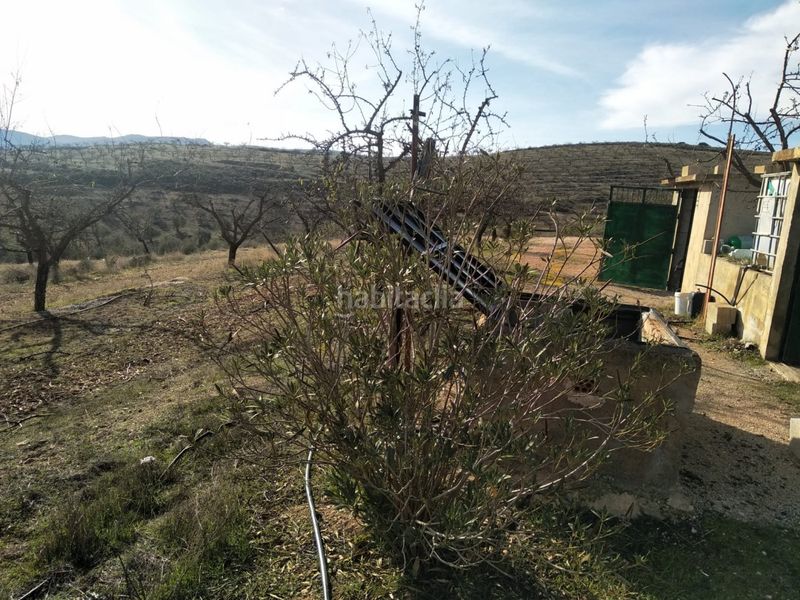 Foto d6b27538-a6ad-44b5-9235-ad935b2bd2ce. Finca rústica a Padul