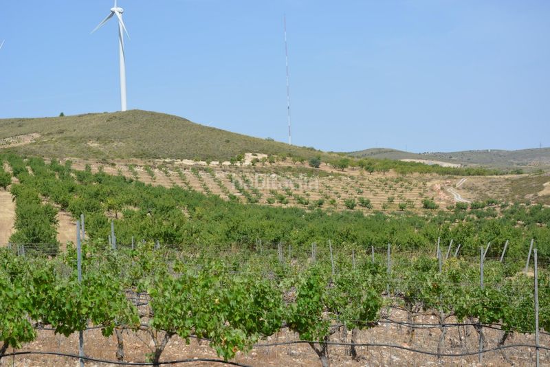 Foto eae6cf7c-72e8-452b-a461-51da163211bd. Finca rústica a Padul