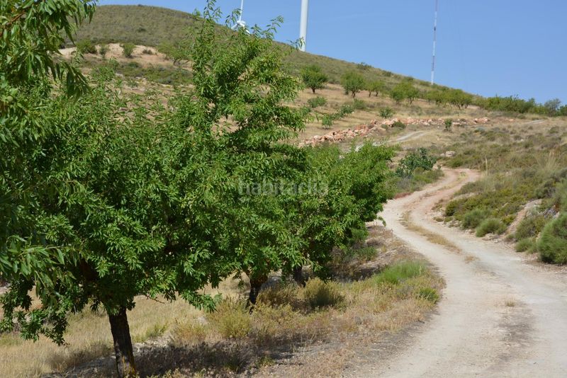 Foto fdcaccbb-394b-43c6-b2d9-d781e916a8f8. Finca rústica a Padul