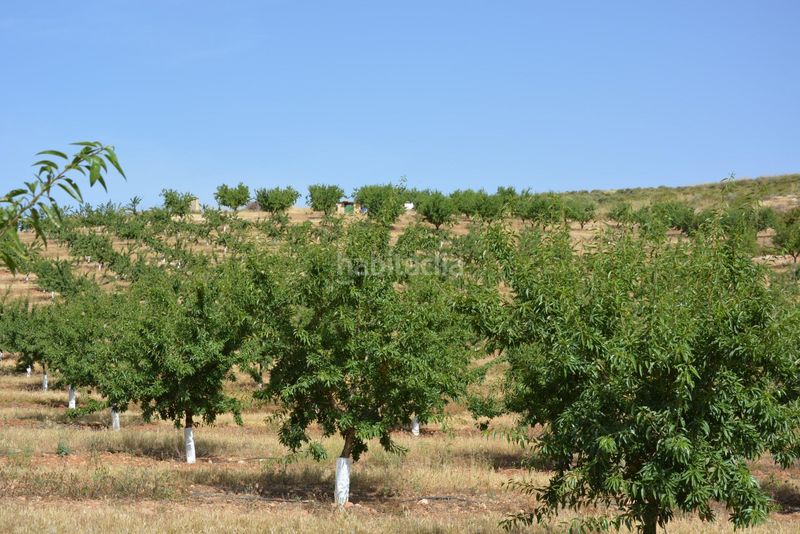Foto ff3824b7-6ea7-4b49-b2c4-1af094680a5d. Finca rústica a Padul