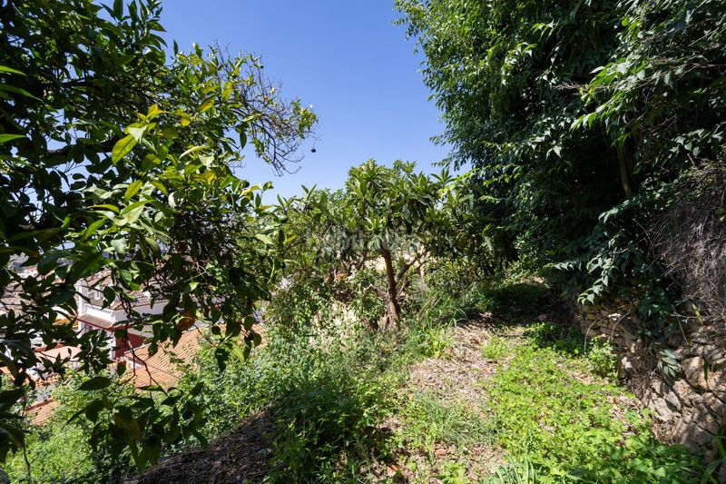 Foto d8a52591-b49c-4ad3-8e72-5061a96fcebc. Masia a Lanjarón