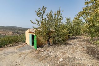 Fondo rustico in Calle 18659. Finca rustica albuñuelas