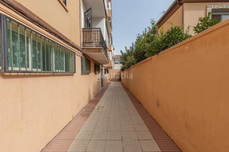 Foto f5be1f61-7c1a-4fc8-b2fb-6e6b74875eaf. Pis a Cervantes Granada