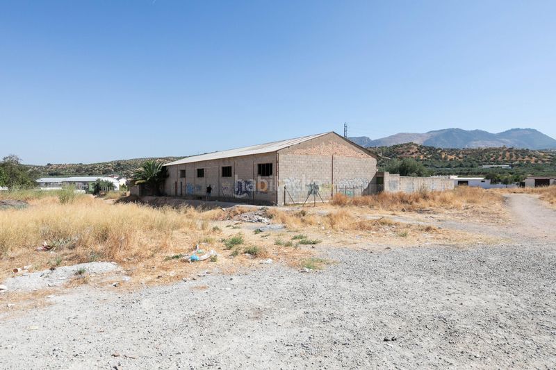 Foto 0862ce36-5019-4f2a-b9e8-a9563e22ebbd. Terreny residencial a Pulianas