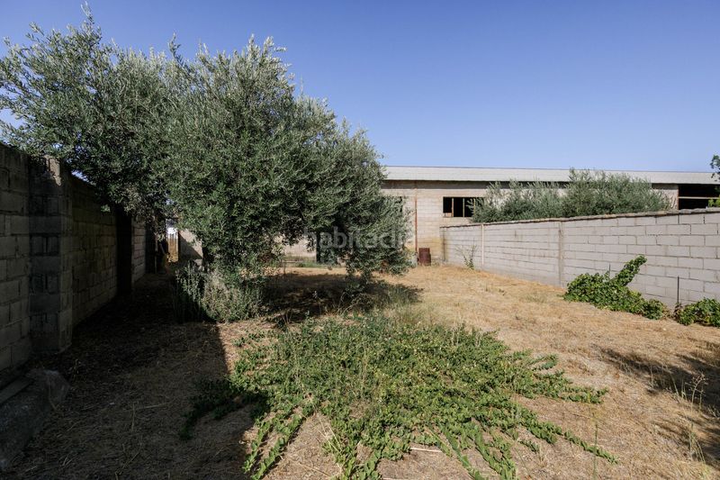 Foto 35f85f58-0967-457b-894d-9146fadb77ca. Terreny residencial a Pulianas