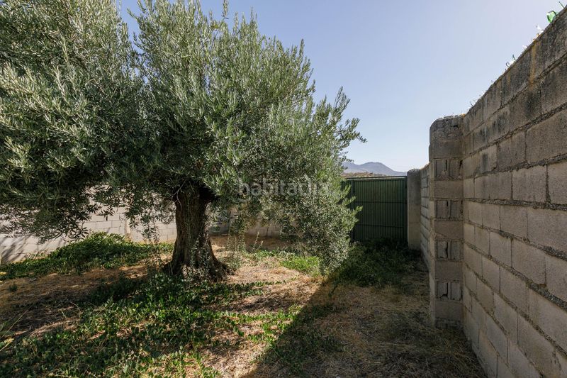 Foto aedee1ac-10e7-43a3-a24c-6a76b089bd5c. Terreny residencial a Pulianas