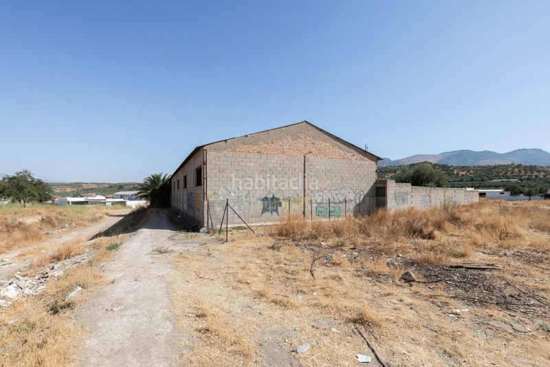 Foto ec4adae2-1489-41db-8dfd-27dc6b9a6c94. Terreny residencial a Pulianas