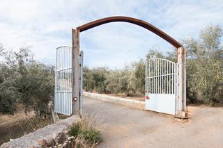 Masia a Loja. Magnifica finca 46 hectáreas de la cual plantada de olivos, apro