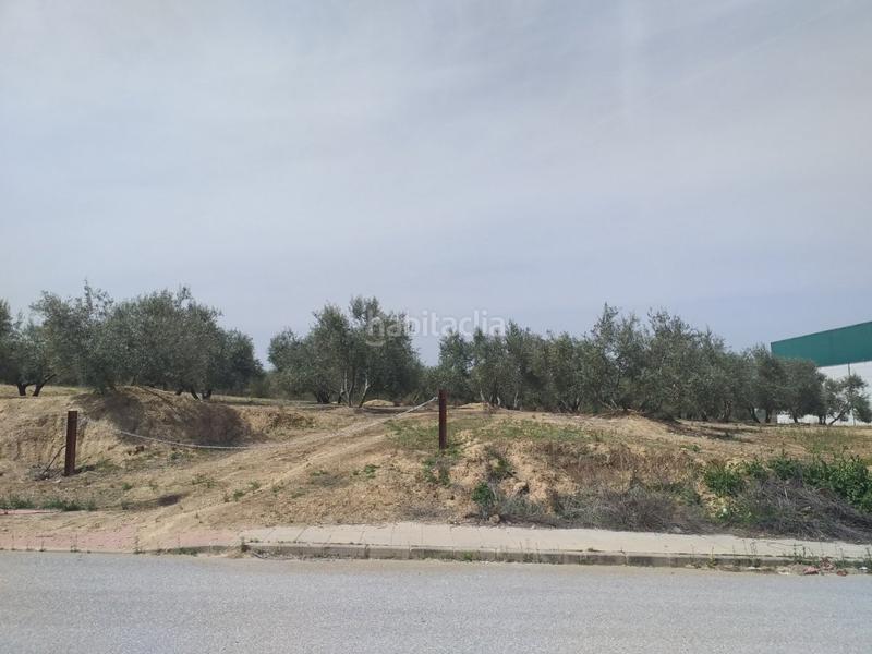 Foto 309588e1-aded-4707-a326-e07041f4d624. Terrain résidentiel dans Láchar