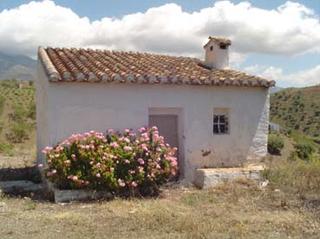 Masia a Sedella. Parcela de 37000 metros con casa de apero en canillas de aceitun