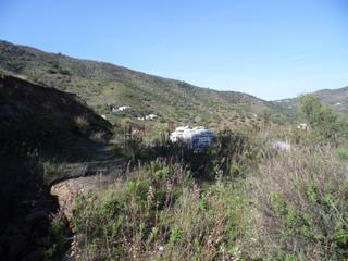 Finca rústica a Arenas. Parcela a un paso del pueblo de arenas