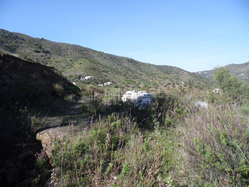 Foto b8c9fa9e-e682-409d-bc51-1395771bfafa. Finca rústica a Arenas