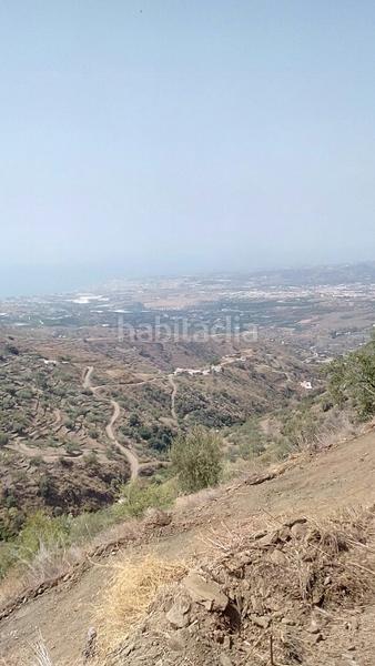 Foto 811fa416-3a49-468e-858a-b08005bdb324. Fondo rustico in Arenas