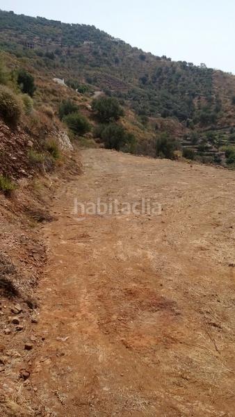 Foto 9b358b7d-b31f-4bc3-a14b-7f968219ae7a. Fondo rustico in Arenas