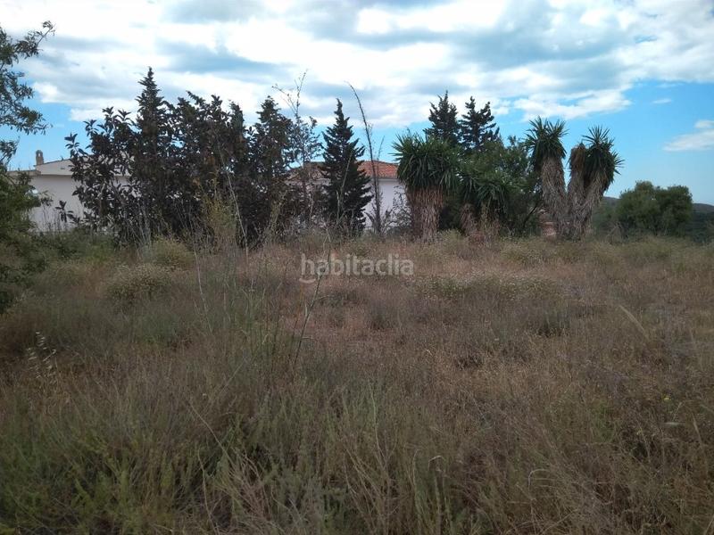 Foto 0a3fe5af-bb7f-4b10-a929-1c5a045092a3. Finca rústica a Almayate Bajo