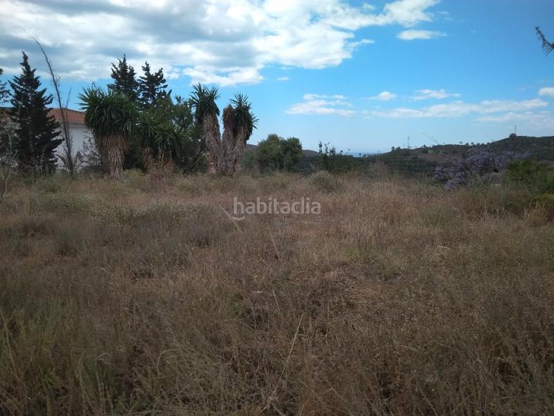 Foto 82232e95-9348-4b76-b947-6c39597b6b9e. Finca rústica a Almayate Bajo