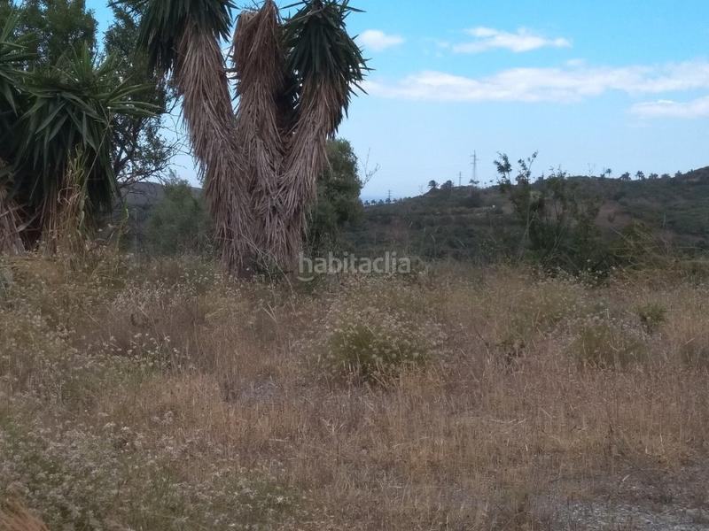 Foto bd7ca18b-684c-469b-9fde-d344568d486f. Finca rústica a Almayate Bajo
