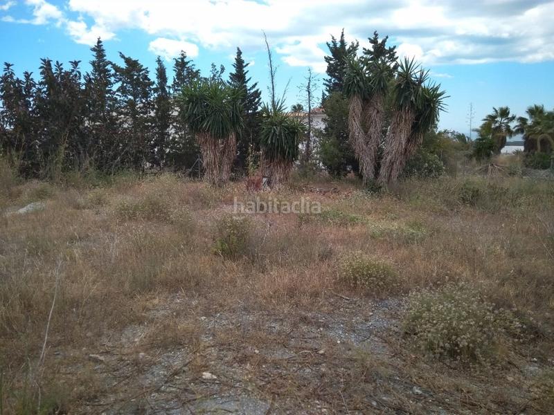 Foto dc408cb2-776f-4fb5-8c07-0d7b32ed4710. Finca rústica a Almayate Bajo