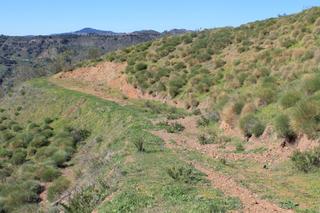 Finca rústica a Arenas. Parcela  con olivos y almendros cerca del pueblo de arenas.