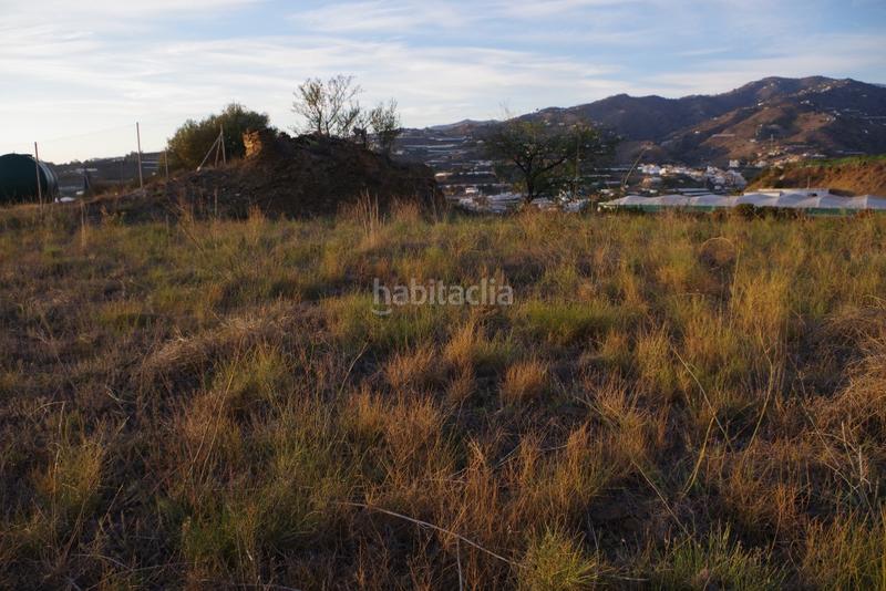 Foto 59f41158-a755-4c8b-a1b8-05d783066e18. Finca rústica a Algarrobo pueblo Algarrobo