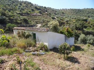 Masia a Sayalonga. Casa de campo para reformar en sayalonga