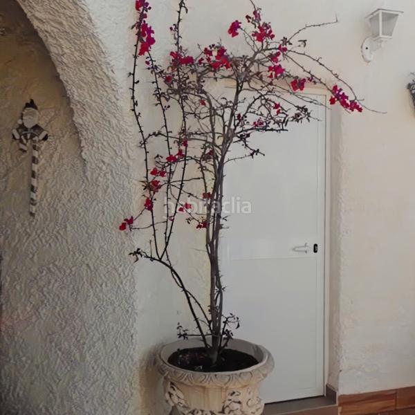 Foto 5705d070-8b3c-440a-88df-fe9539ed7dfa. Chalet villa en caleta de vélez con un apartamento con entrada independiente. en Caleta de Velez