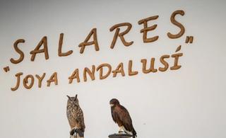 Masia a Salares. Encantadora casa de pueblo en el histórico salares  una joya esc