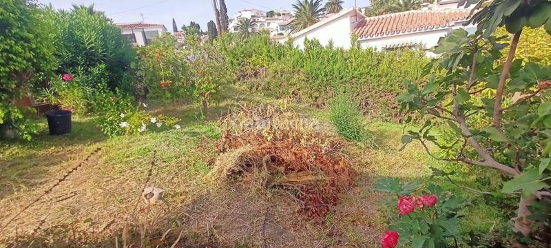 Foto 0a21e937-d9f7-4aa5-94c2-a34e2bb99da5. Fondo rustico in Caleta de Velez