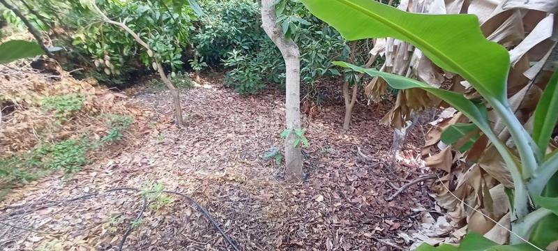 Foto 1fbb368a-8aec-4ed2-95b4-a7d74e8336d3. Fondo rustico in Caleta de Velez