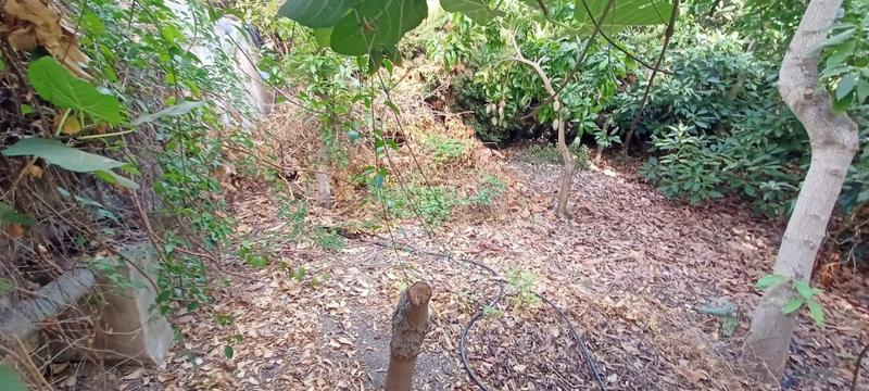 Foto 9e22b6c8-c8ef-4b85-8cb4-181bb2baef15. Fondo rustico in Caleta de Velez